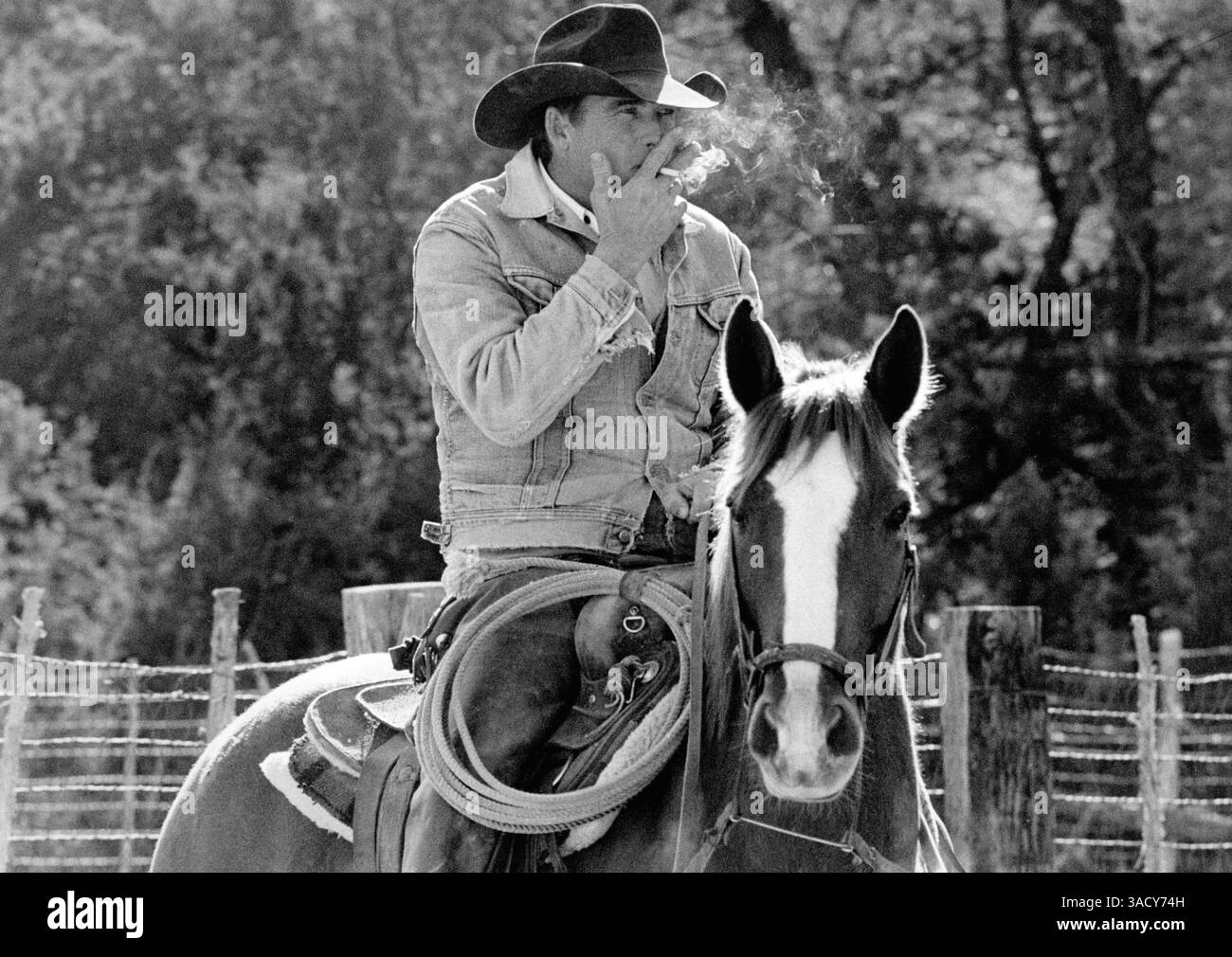 bull rider smoking cigarette Cowboy smoking riding hi-res stock photography and images