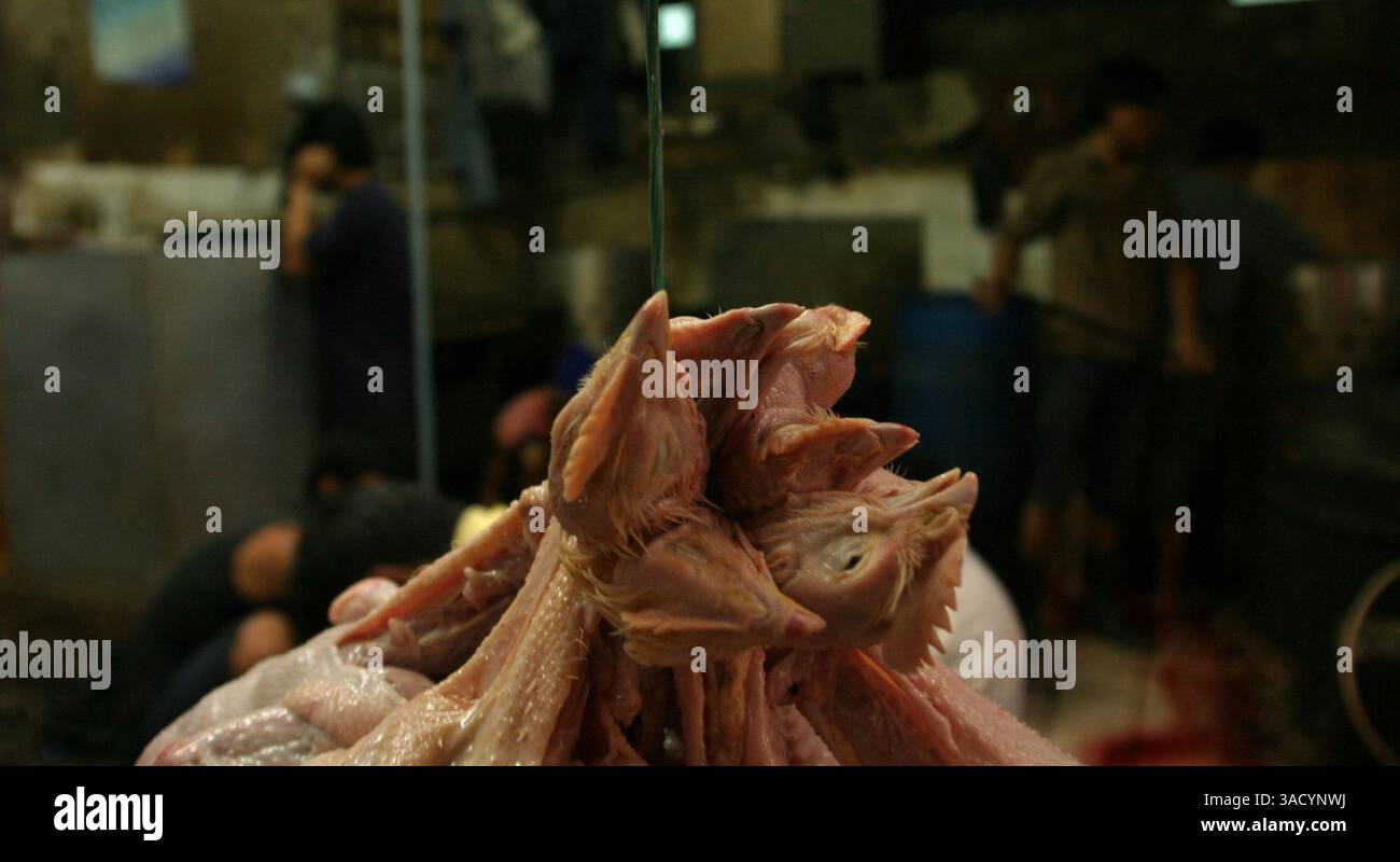 Mar 05, 2004; Jakarta, DKI Jakarta, Indonesia; Since this weeks announcment of the contagious Bird Flu virus in Indonesia, sales of chickens throughout the country have seen a 50% decline. The slaughterhouse at Pasar Senen, One of Jakarta's central markets, is still busy with poultry activity. .  (Credit Image: JiwaFoto/ZUMAPRESS.com) Stock Photo