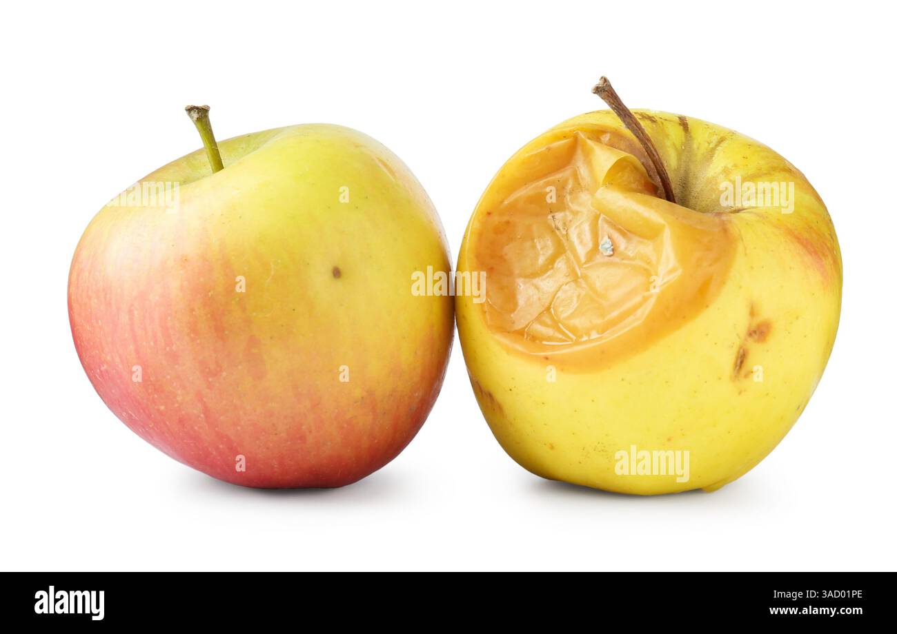 Rotten and fresh apples isolated on white Stock Photo - Alamy