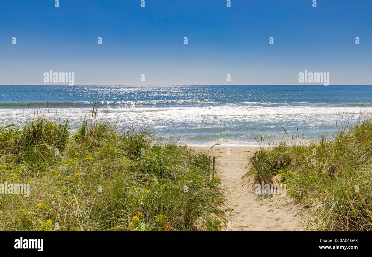 summer landscape of an amagansett beach Stock Photo - Alamy