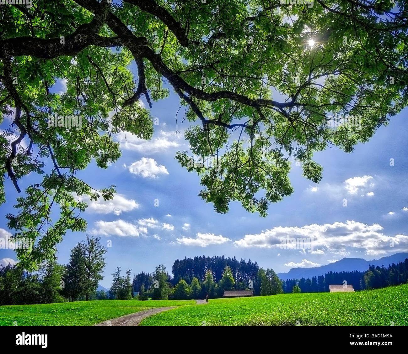 Germany, Bavaria, Tranquil landscape at Wackersberg Near Bad Toelz Stock Photo