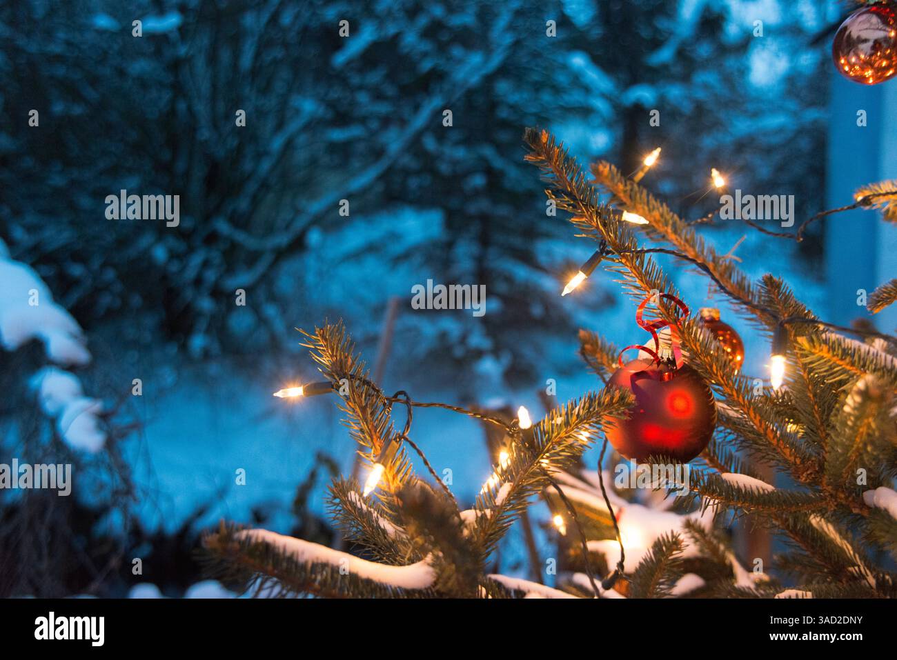Christmas tree, Advent decorations, decoration Stock Photo