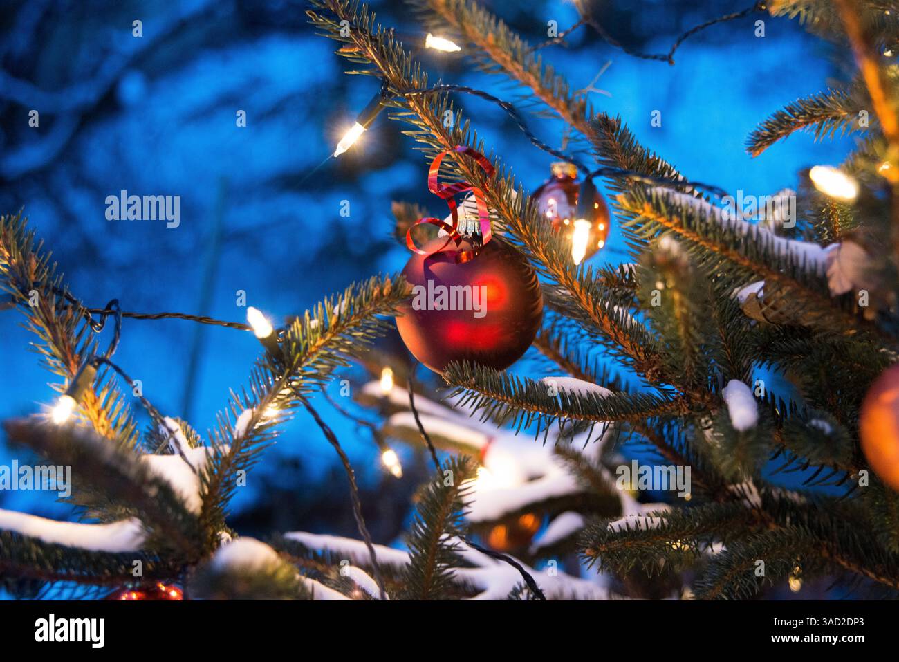 Christmas tree, Advent decorations, decoration Stock Photo