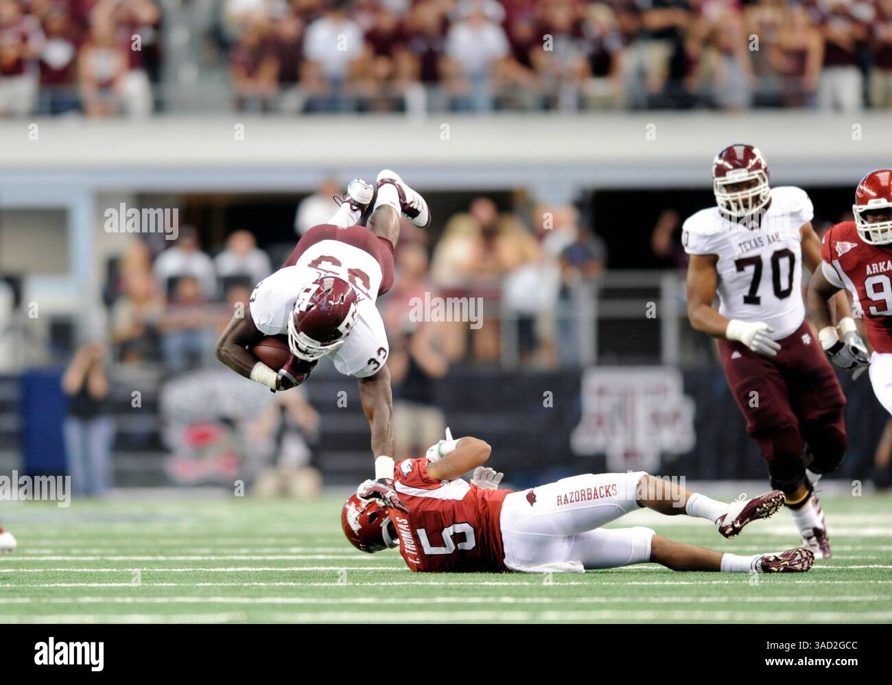 Flying razorbacks hi-res stock photography and images - Alamy