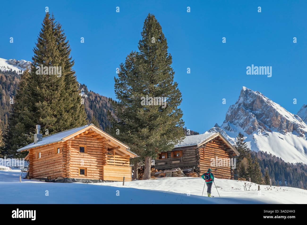 hiker in san nicolo valley near two lonely huts, winter landscape on a sunny day with snow and blue sky, pozza di fassa, autonomous province of trento, dolomites, italy Stock Photo