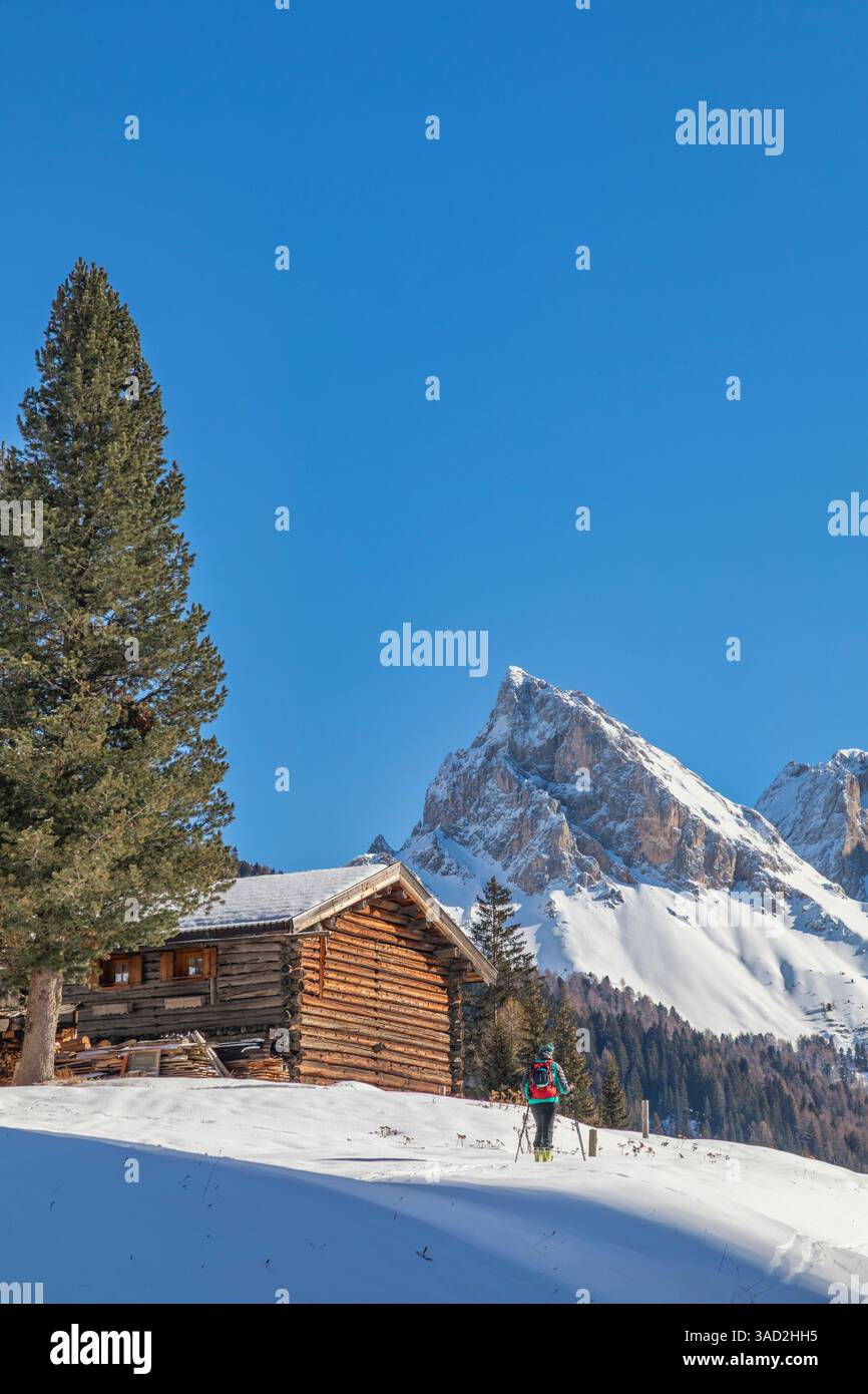hiker in san nicolo valley near two lonely huts, winter landscape on a sunny day with snow and blue sky, pozza di fassa, autonomous province of trento, dolomites, italy Stock Photo