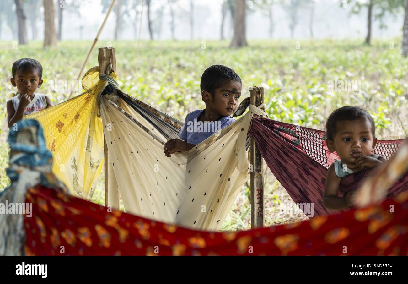 Children of tea plantation workers underneath a tent as their mothers ...
