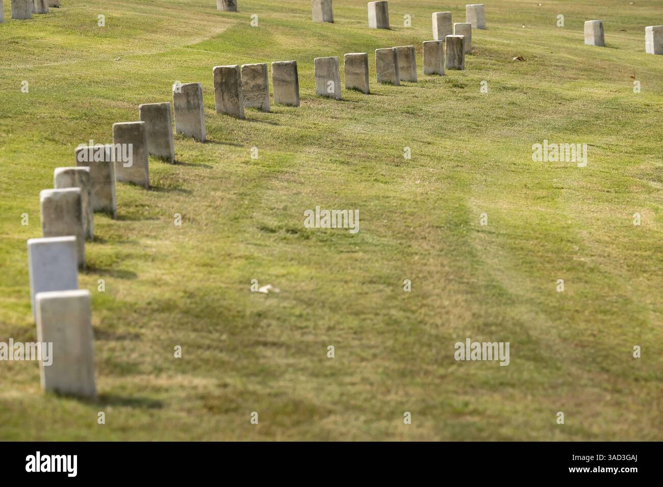 Us graves vietnam war hi-res stock photography and images - Alamy