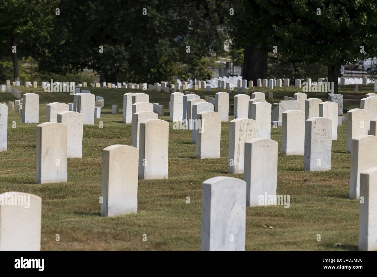 Viet cong warriors hi-res stock photography and images - Alamy