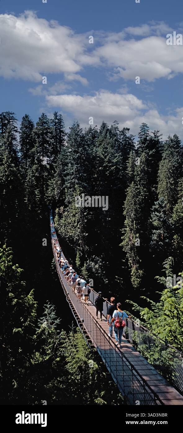 Suspension bridge, tourists, Capilano Canyon, Vanvouver, British Columbia, Canada, North America Stock Photo