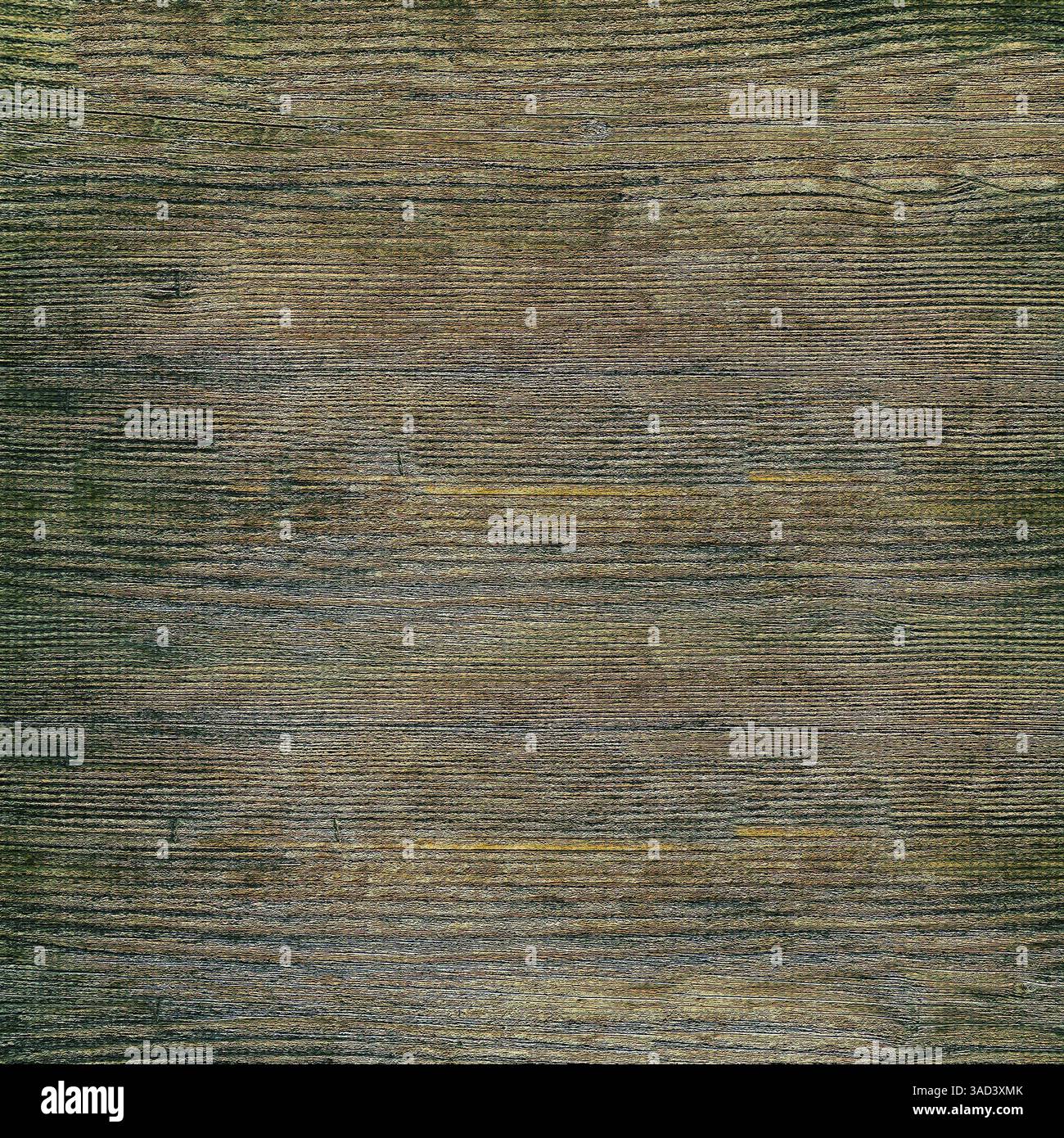 Rustic Sign Texture Close-up view of a weathered wood texture, showcasing signs of aging ...