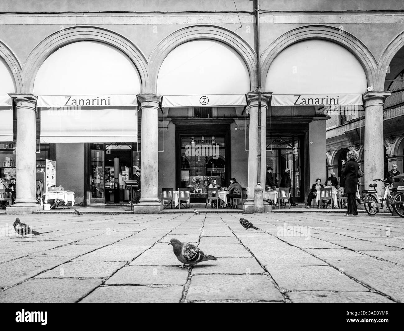Italy, Bologna, Pigeons in front of a street cafe Stock Photo