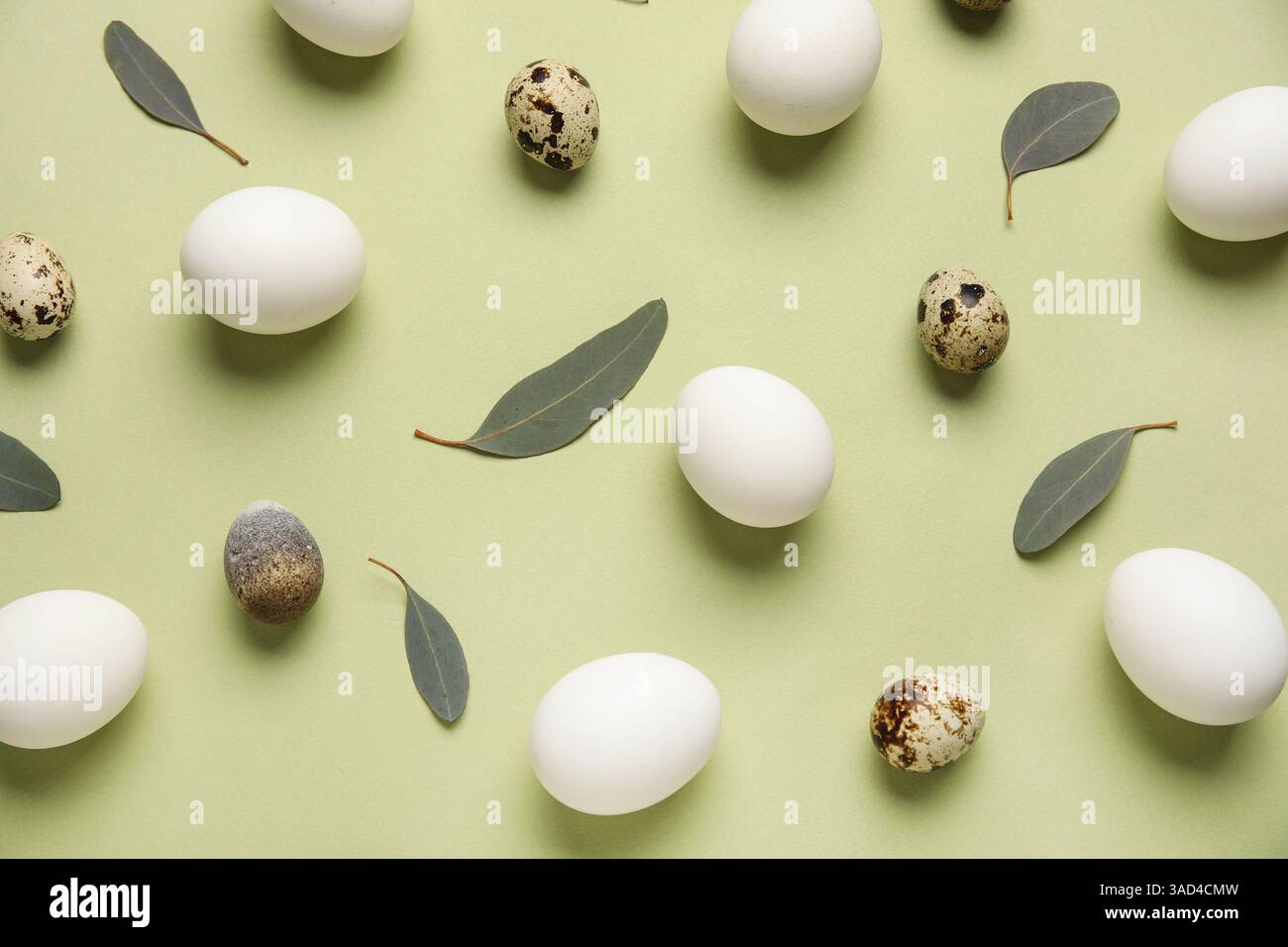 Chicken and quail eggs with leaves on green background. Easter celebration Stock Photo