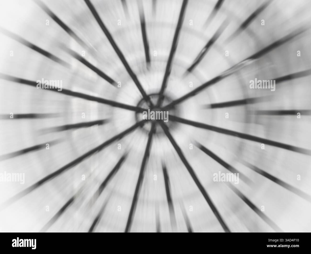 Abstract motion blur with black lines and white background. Stock Photo