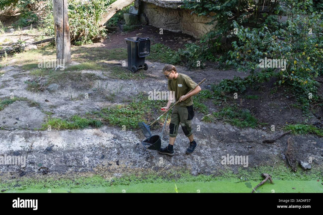 Animals captivity zoo keeper hi-res stock photography and images - Alamy