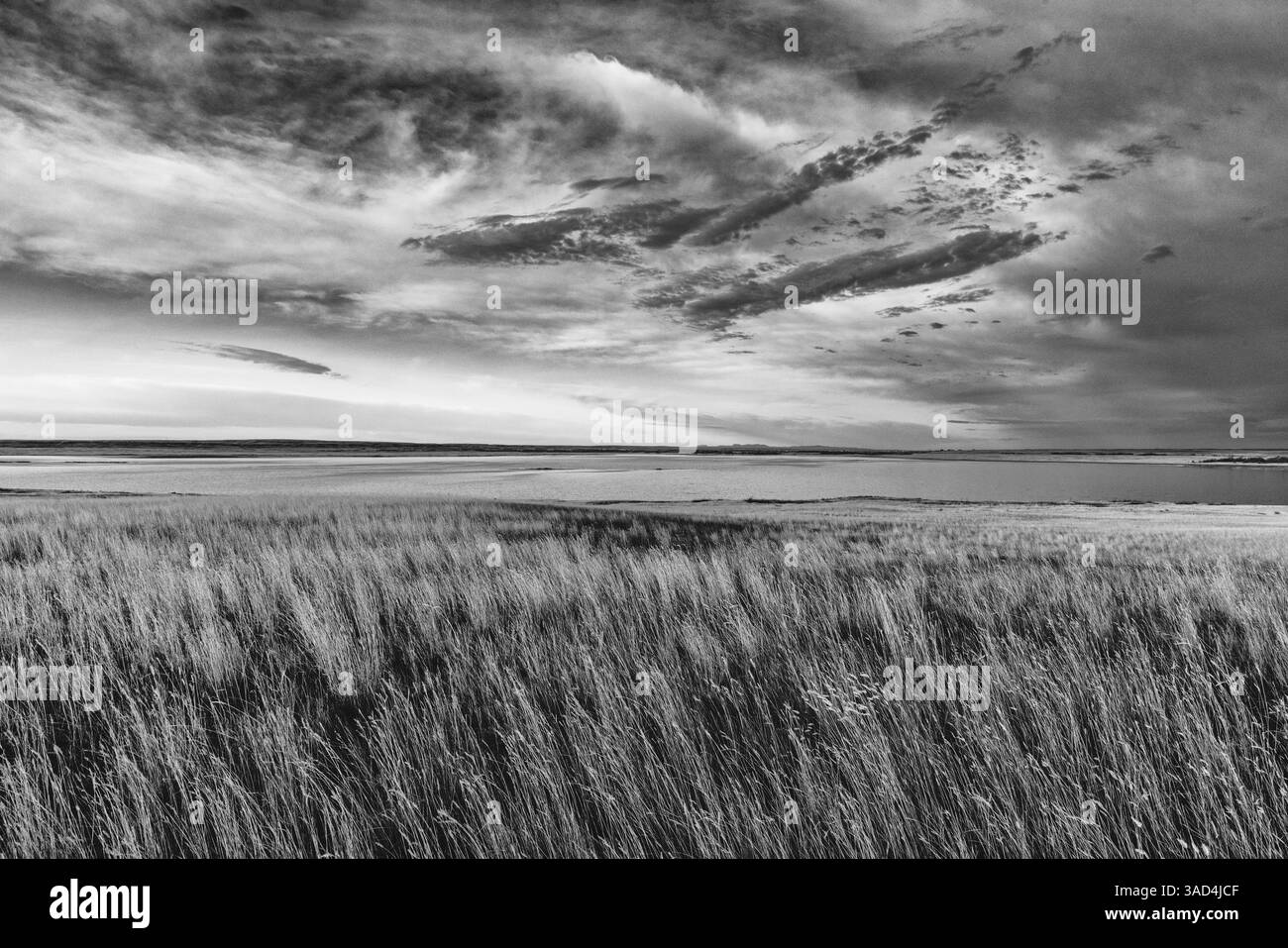 Prairie grasslands and Lake Bowdoin at Bowdoin National Wildlife Refuge near Malta, Montana, USA. (Editorial Use Only) Stock Photo