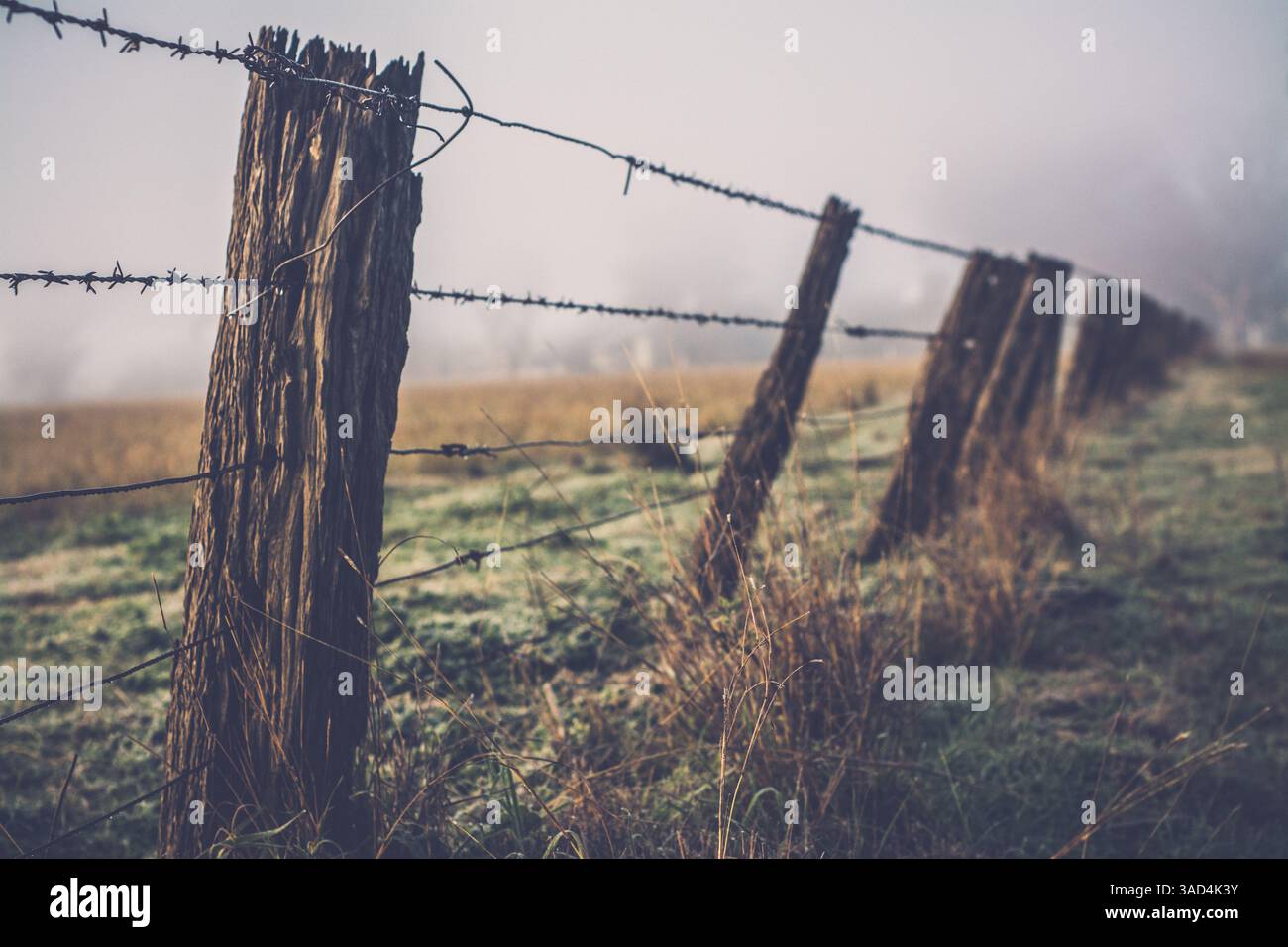 old barbed wire farm fence Stock Photo - Alamy
