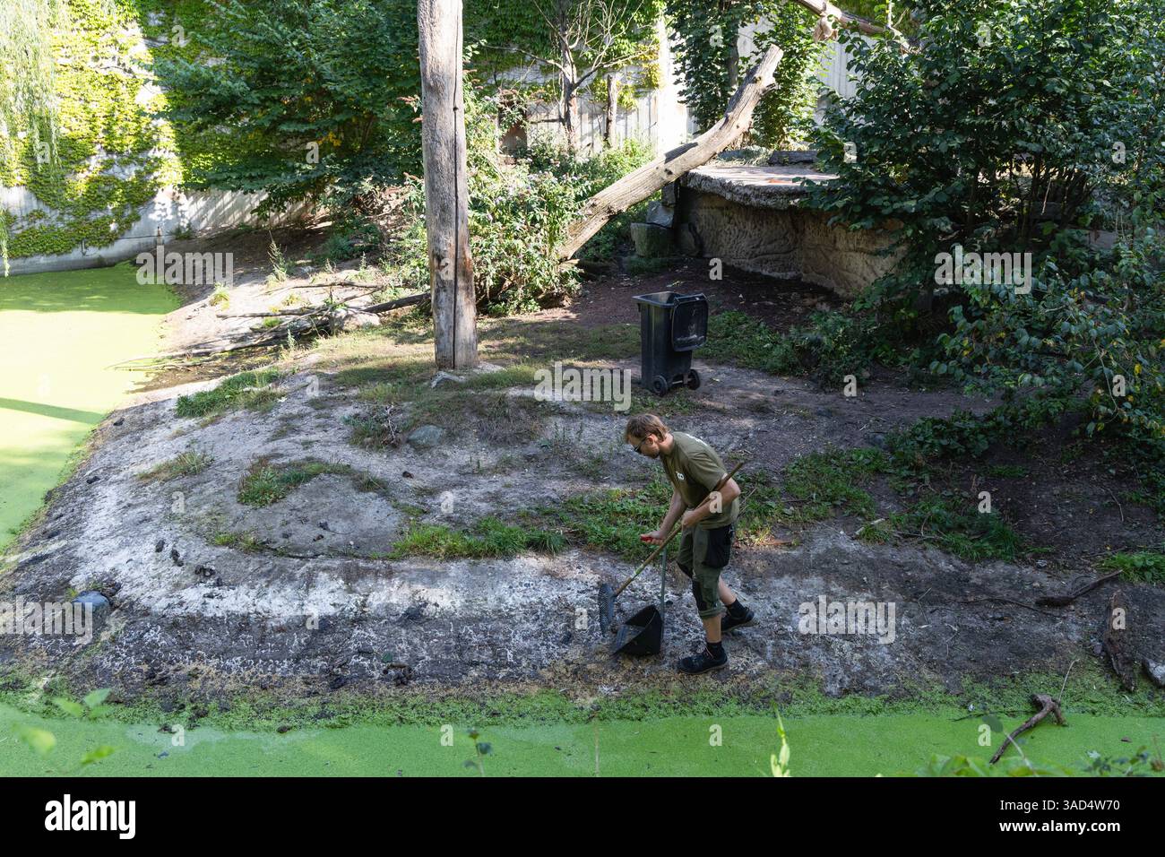 Animals captivity zoo keeper hi-res stock photography and images - Alamy