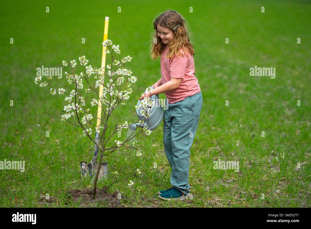 Child planting a spring tree. Kids grow up fruit tree. Kid gardener ...