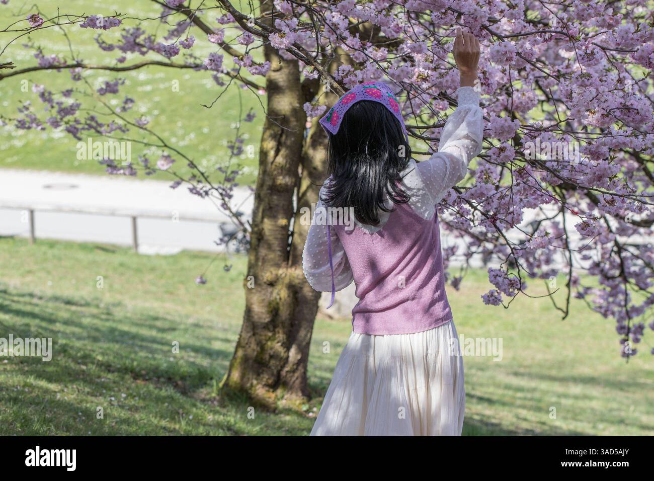 München, Deutschland 03. April 2025: Im Bild: Die Kirschblüte der japanischen Kirschbäume, ein Blütenparadies im Olympiapark in München lockt zur Zeit viele Besucher und Touristen an. Eine junge Frau streichelt zärtlich über die Blüten. Bayern *** Munich, Germany 03 April 2025 In the picture The cherry blossom of the Japanese cherry trees, a blossom paradise in the Olympic Park in Munich currently attracts many visitors and tourists A young woman tenderly caresses the blossoms Bavaria Copyright: xFotostandx/xFritschx Stock Photo