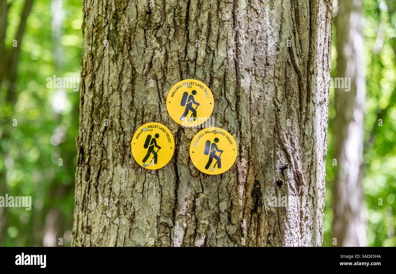 three yellow and black trail markers in the wallkill valley land trust trail Stock Photo