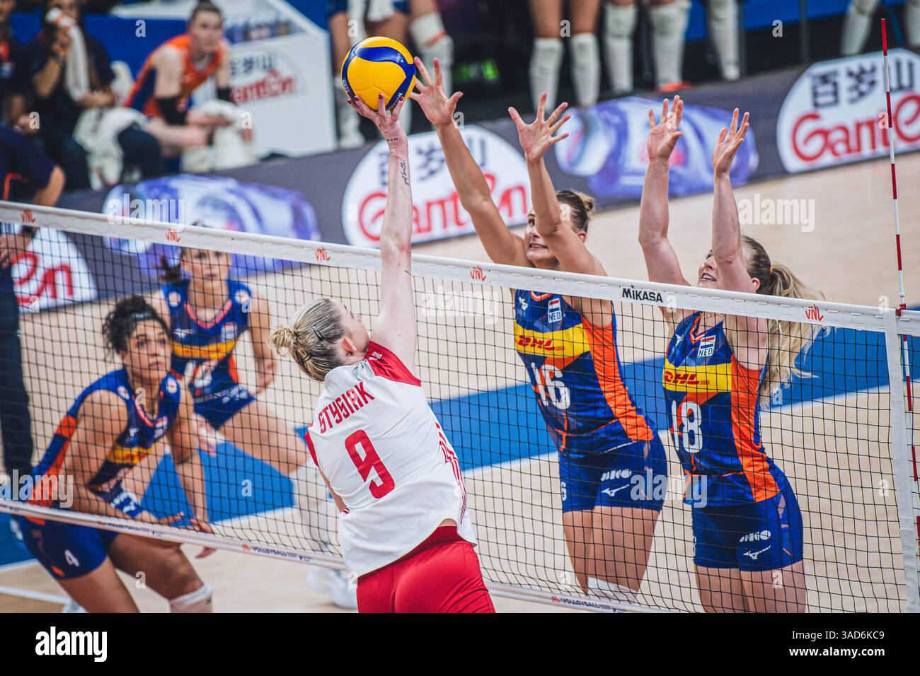 Why Are Women's Sports Gaining Popularity?