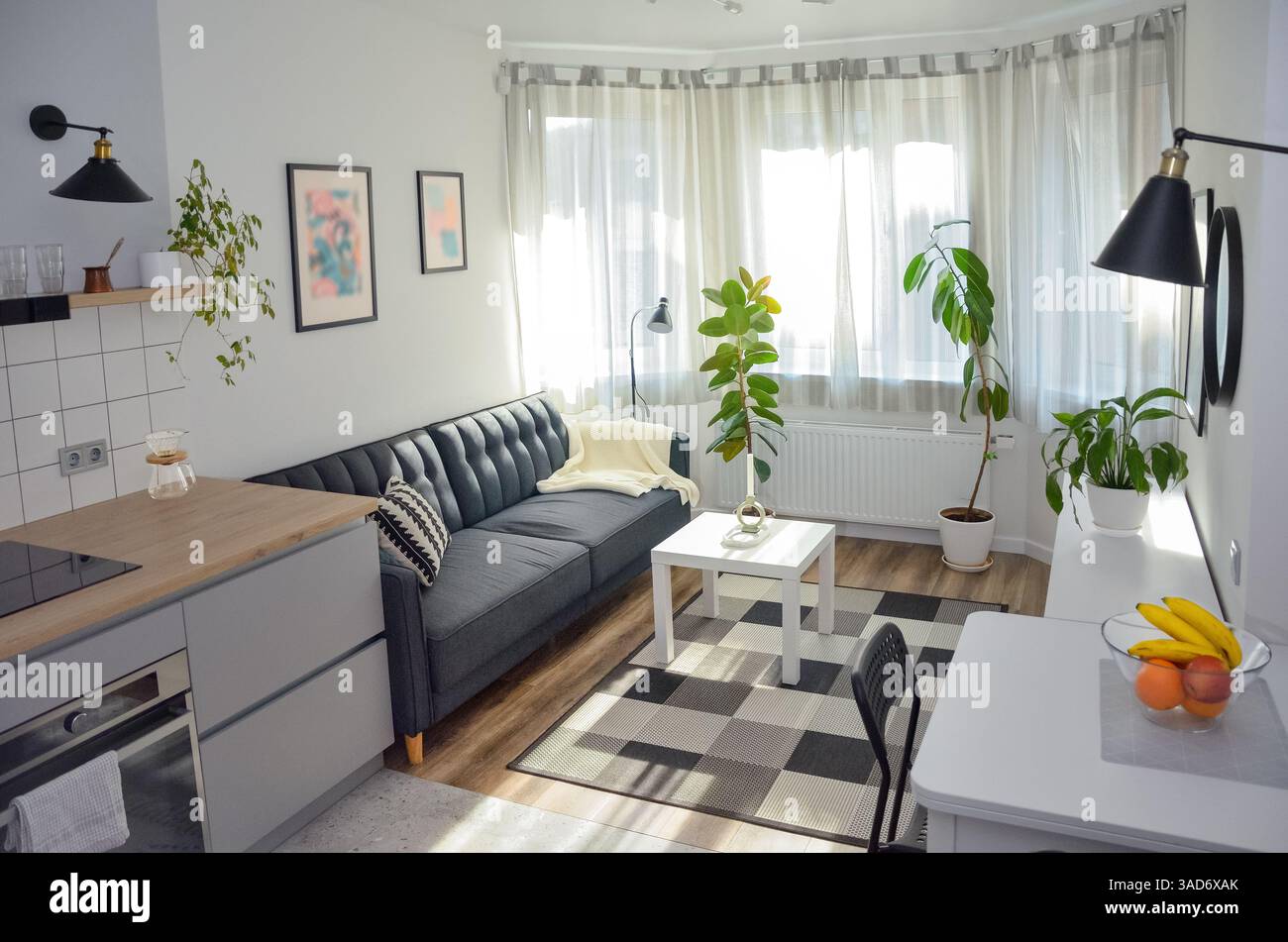 View of Scandinavian interior style modern studio small apartment in white and ...