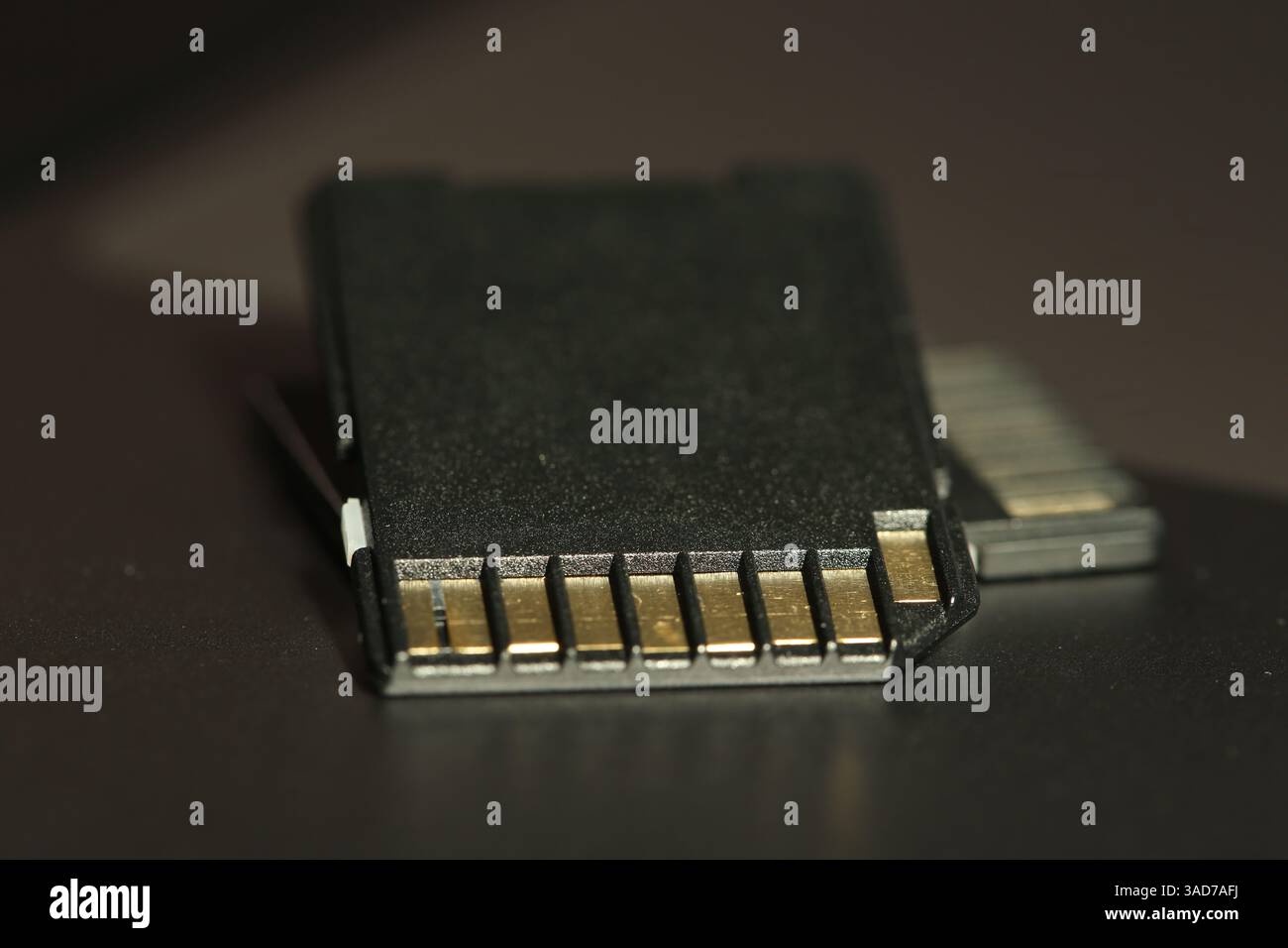 Two SD memory cards on laptop, closeup Stock Photo