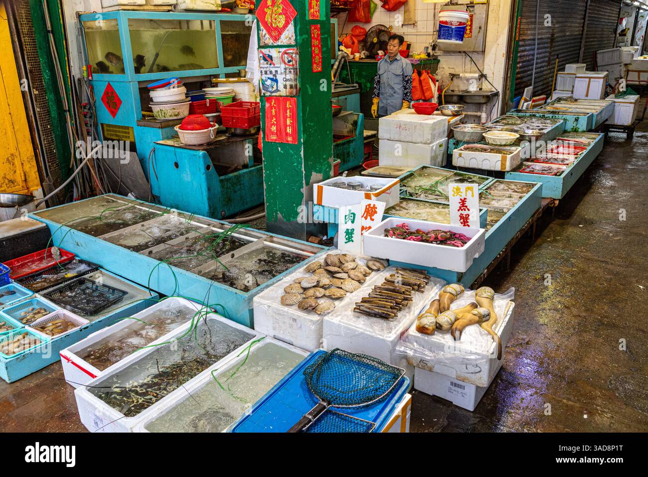 Sea food on sale at at street front market in Java Rd, North Point ...
