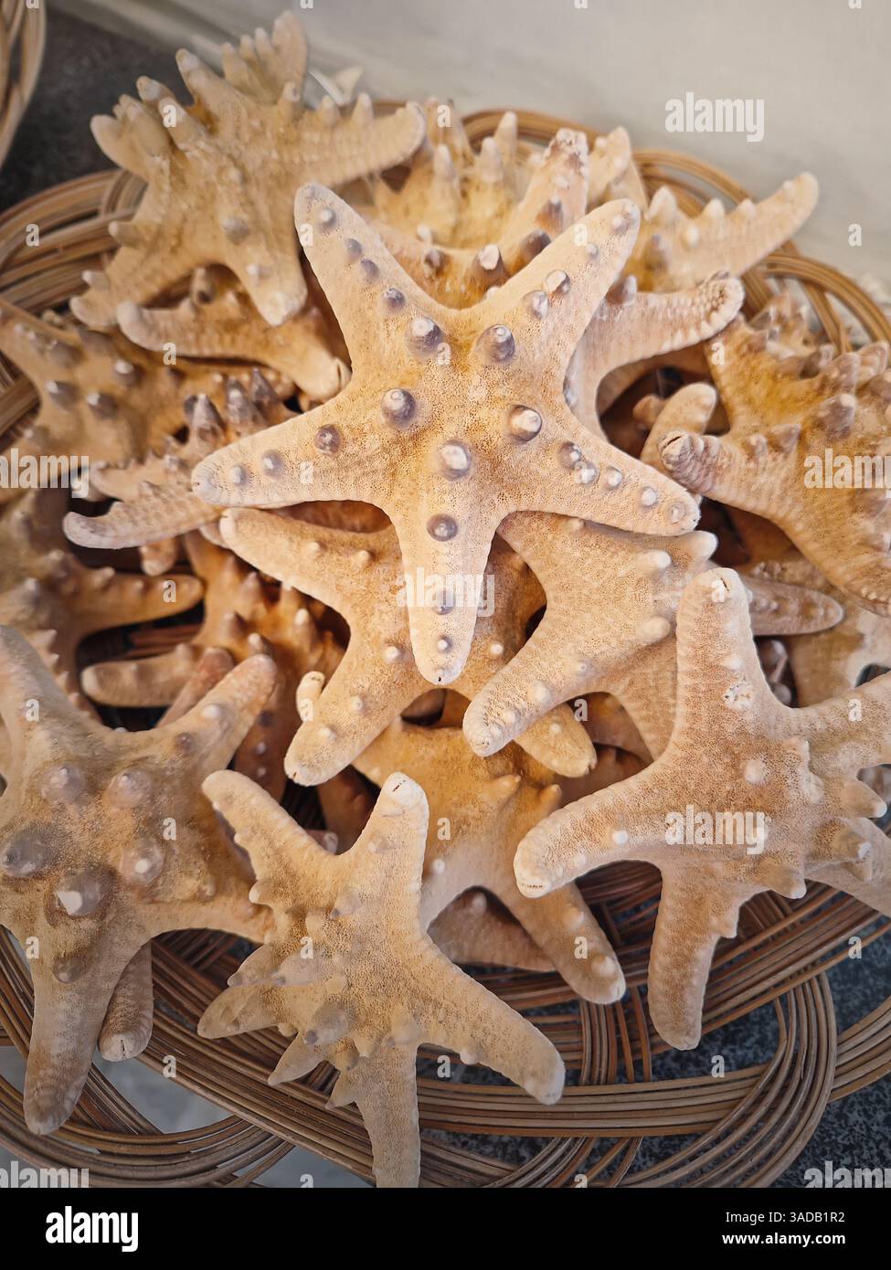 Closeup collection of starfish in a woven basket for sale at a souvenirs market. Intricate textures and patterns on the shell bodies - Smartphone Captured Stock Image