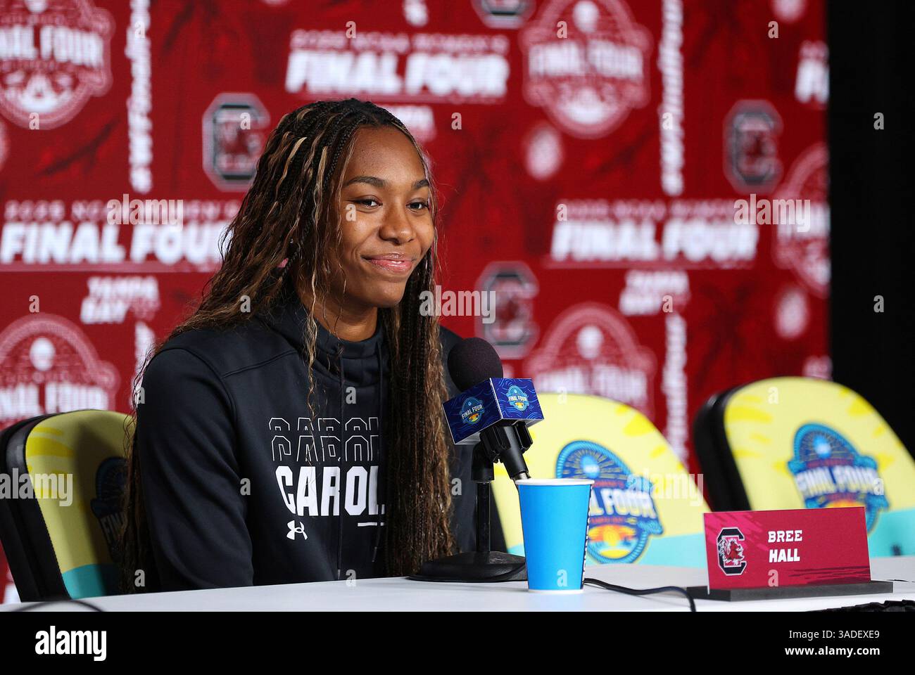TAMPA, FL - APRIL 05: South Carolina Gamecocks guard Bree Hall (23 ...