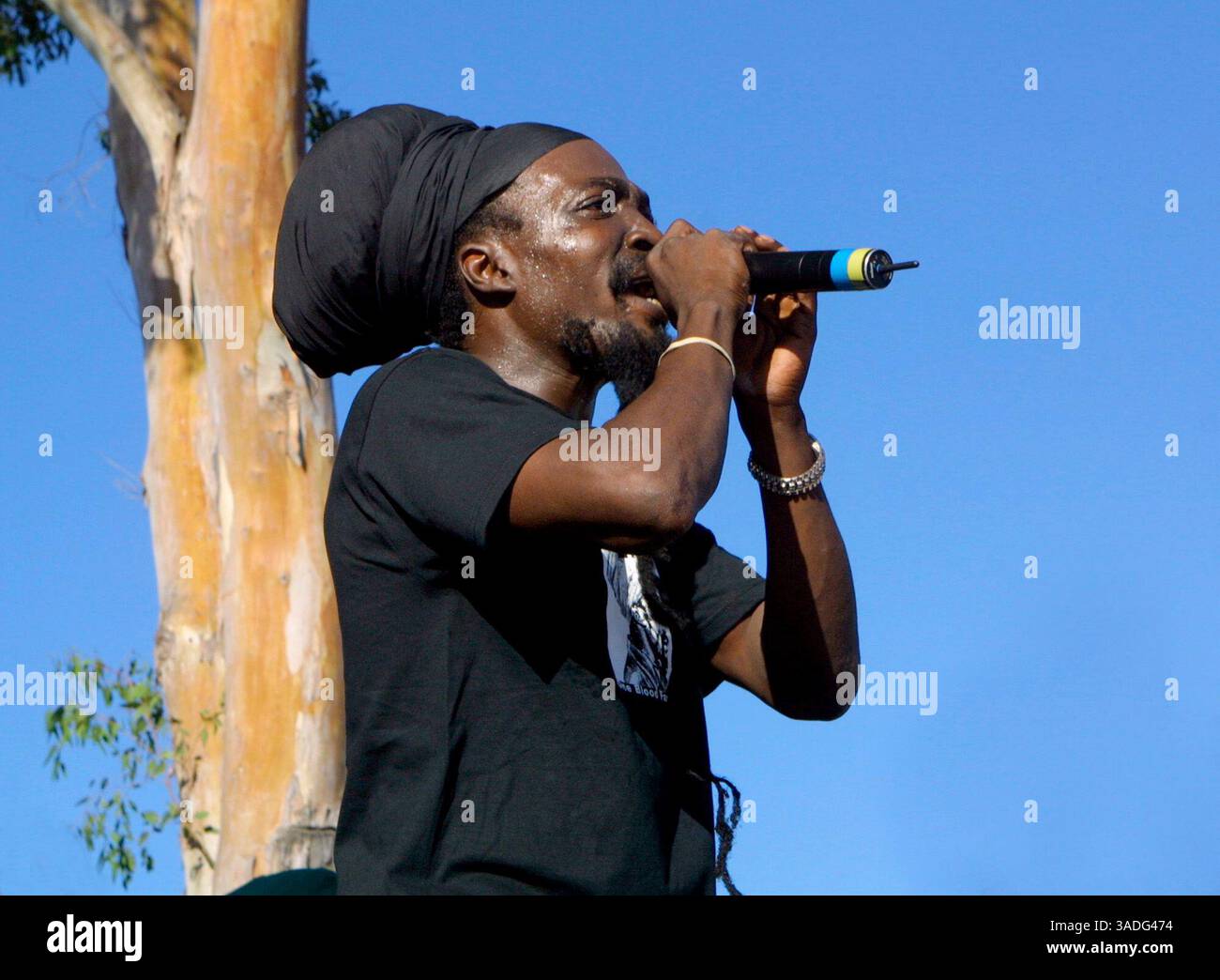 Jah Reed Singer Jamaica born hi-res stock photography and images - Alamy