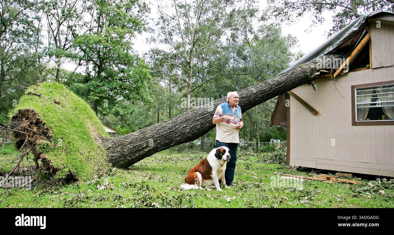 Sep 15, 2008 - Conroe, Texas, USA - AL HANSLEY of New Caney, TX describes the damage that occurred in his home when a tree crashed into his roof due to strong winds from Hurricane Ike. Hansley's Saint Bernard 'Rosie' had woken him from his sleep when the tree impacted his roof just feet from his bed (Credit Image: Eric Swist/ZUMAPRESS.com) Stock Photo