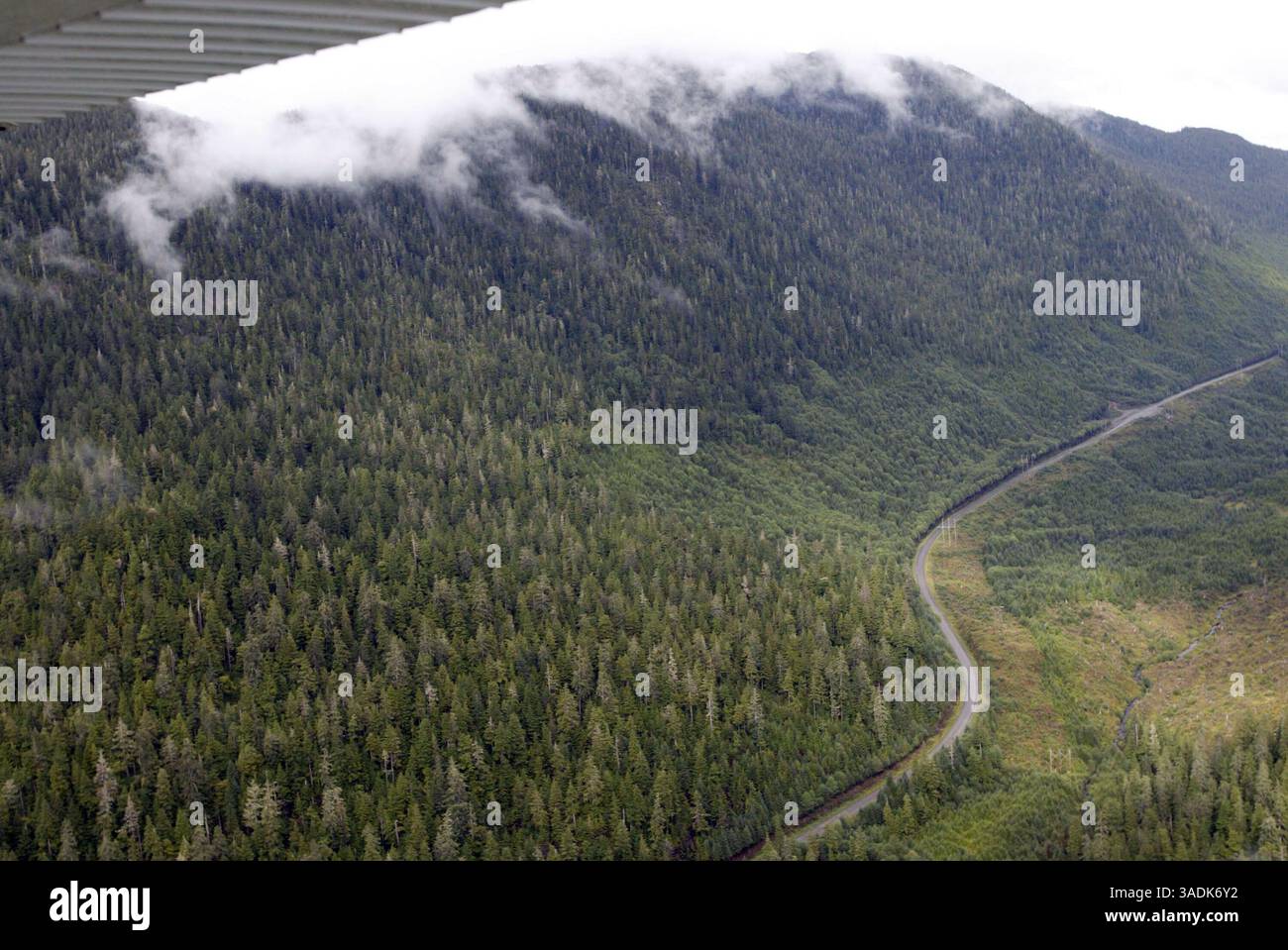 Sep 17, 2003; Ketchikan, AK, USA; Aerials of logging and deforestation ...