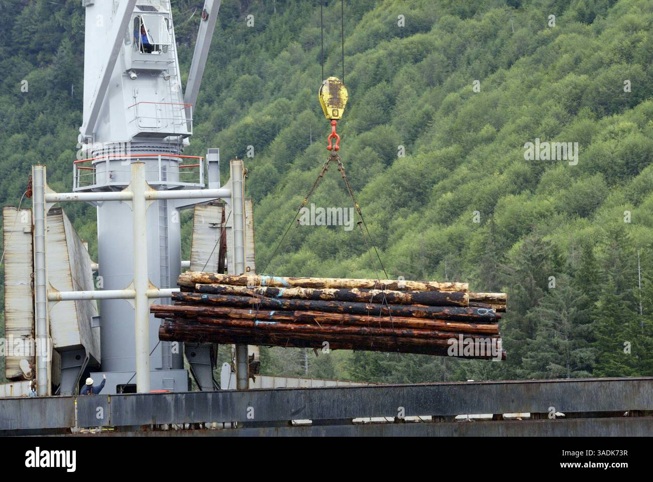 Sep 10, 2004; Tongass National Park, AK, USA; Logging in Tongass ...