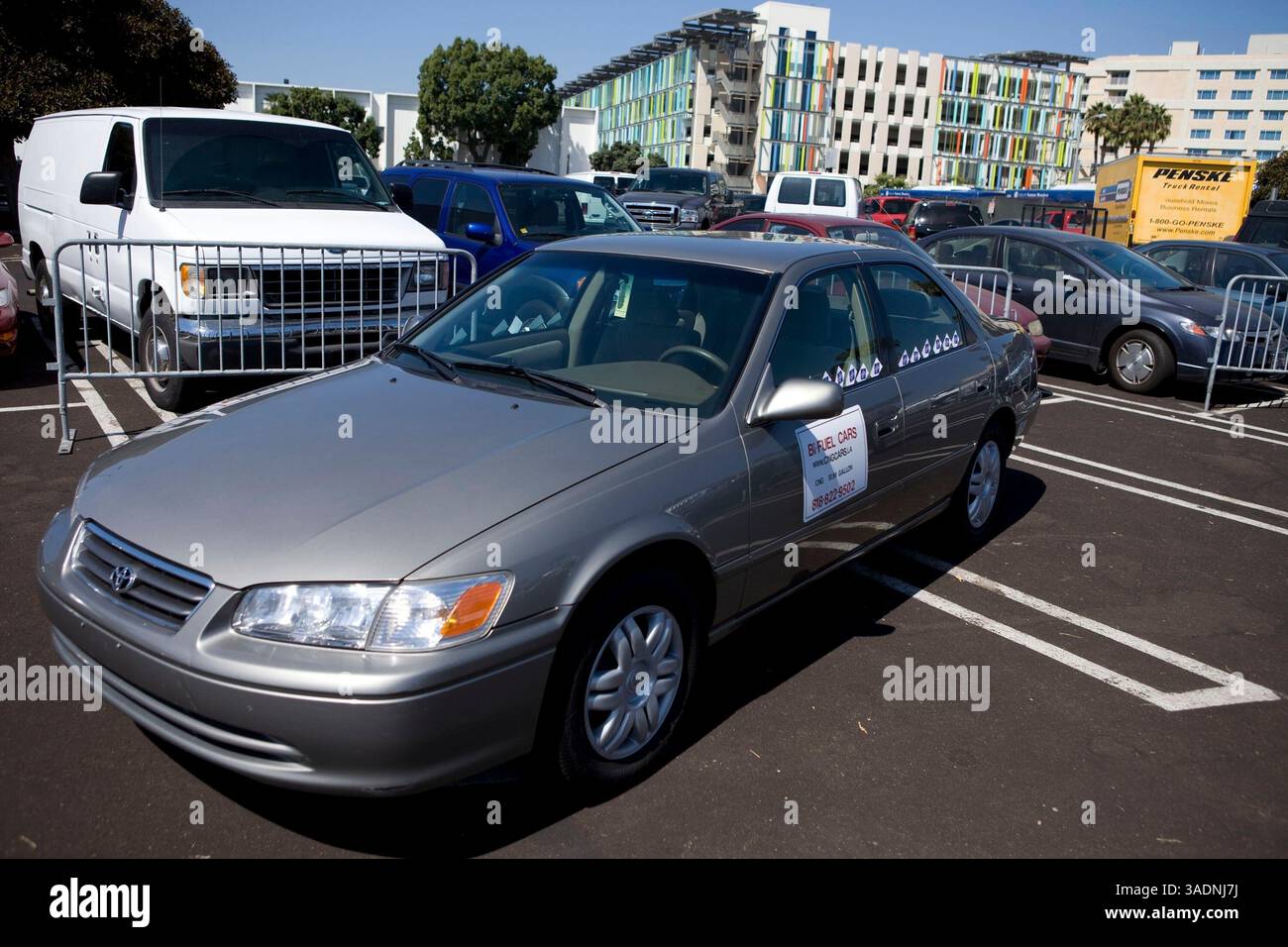 Biodiesel Powered Cars