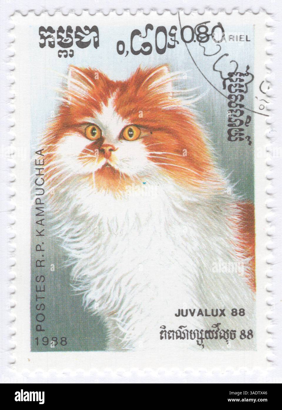 Nasrin Hasani Archives - Hrana, image size:959x1390