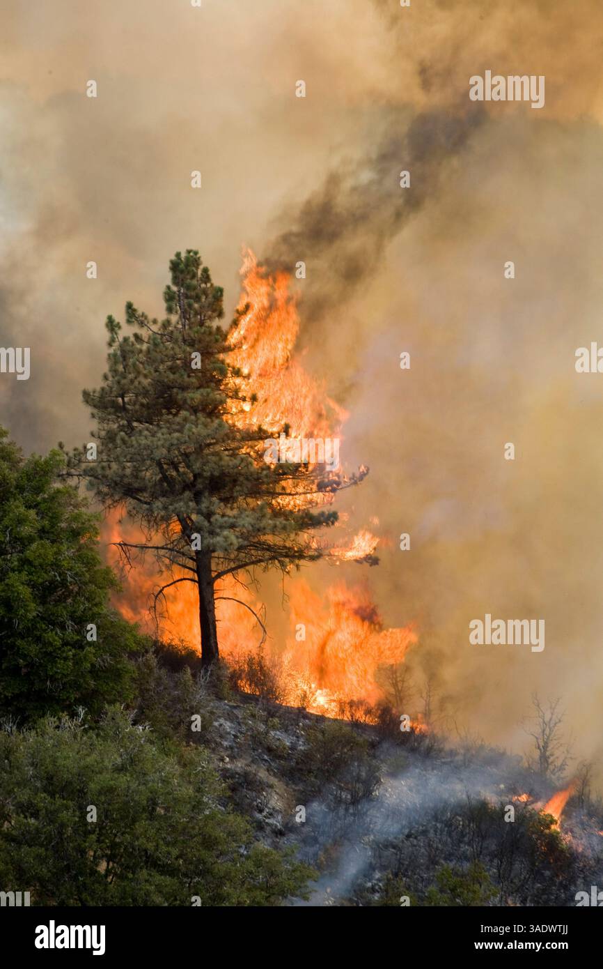 Jul 22, 2008 - Near Salinas, California, United States - Backfires set ...