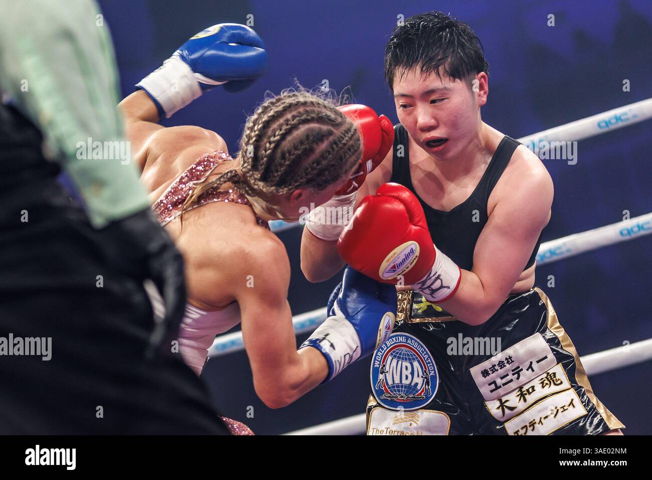 06 April 2025, Brandenburg, Potsdam: Boxing: WBC, WBA, WBO, IBF World ...