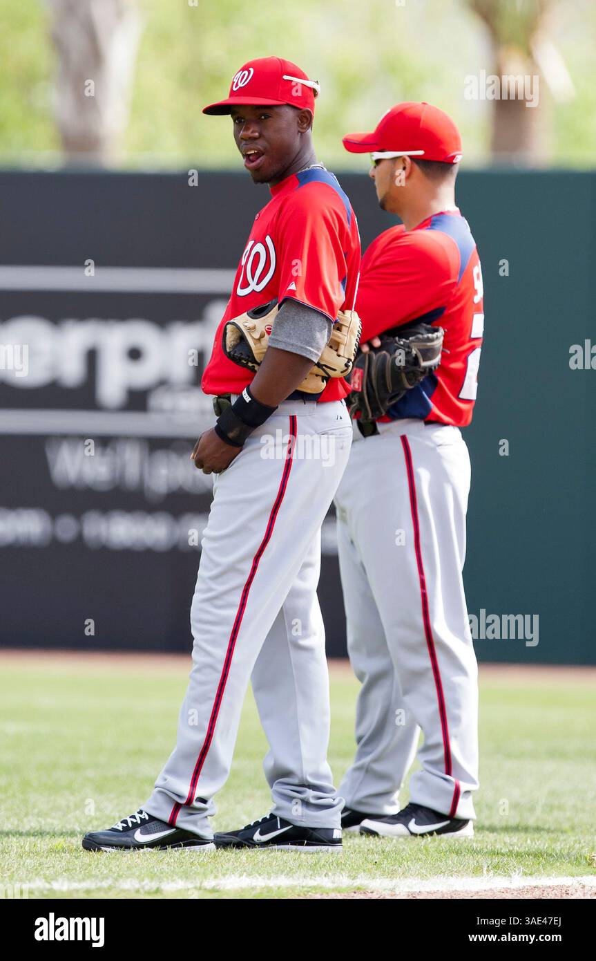 Washington Nationals catcher Jhonatan Solano (23) during a game against the  Arizona Diamondbacks at Chase Field on September 29, 2013 in Phoenix,  Arizona. Arizona defeated Washington 3-2. (Mike Janes/Four Seam Images via
