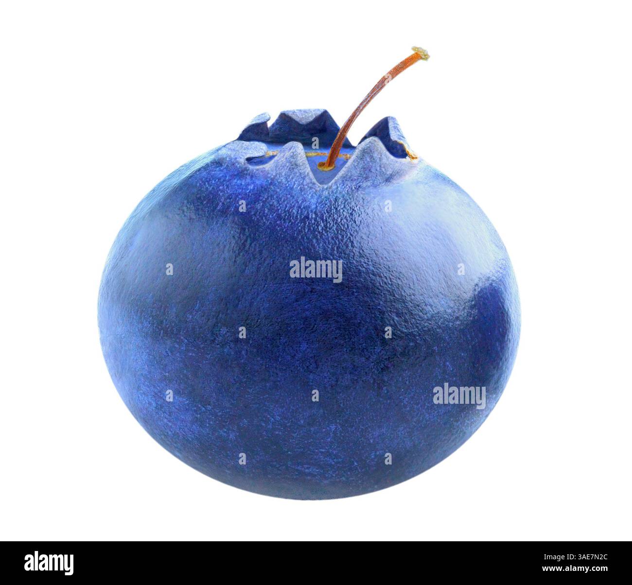 Blueberry fruit isolated on white background Stock Photo
