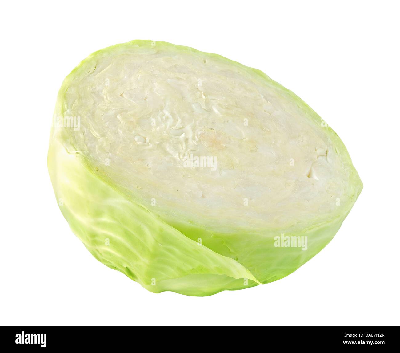 faux fox fur slippers