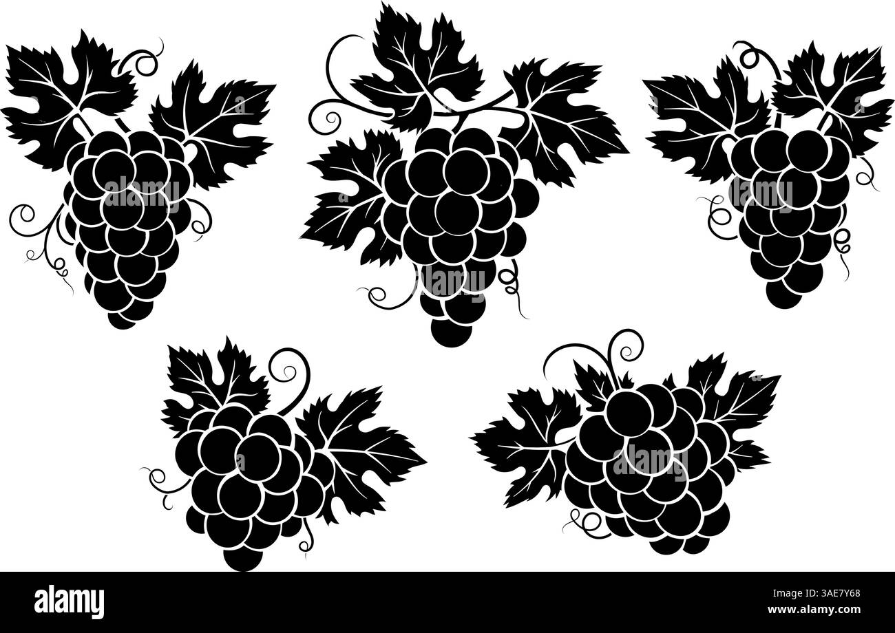 Grape bunch graphic Black and White Stock Photos & Images - Alamy