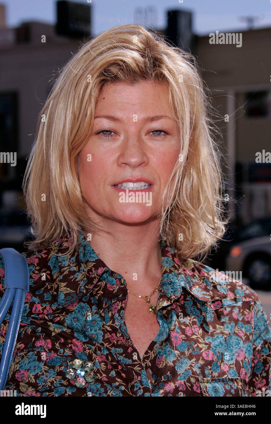 Aug 22, 2004; Westwood, California, USA; Actress DANA WHEELER NICHOLSON at the 'Grand Champion