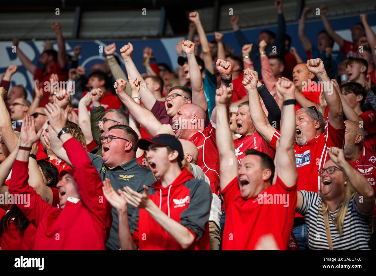Swansea, UK. 6 April, 2025. Scarlets fans during the Ospreys v Scarlets ...
