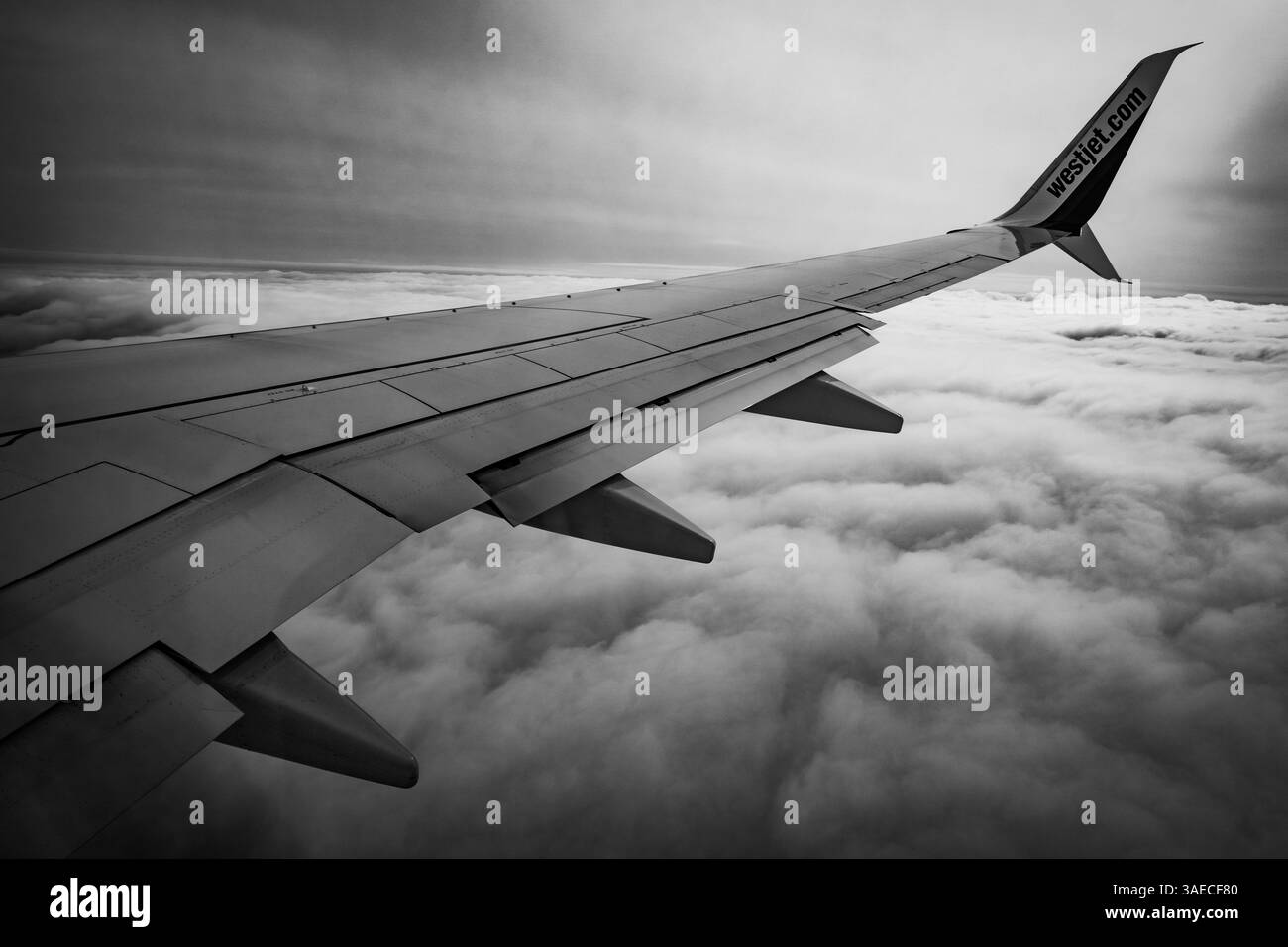 Airplane wing flying over a cloudy background Stock Photo - Alamy