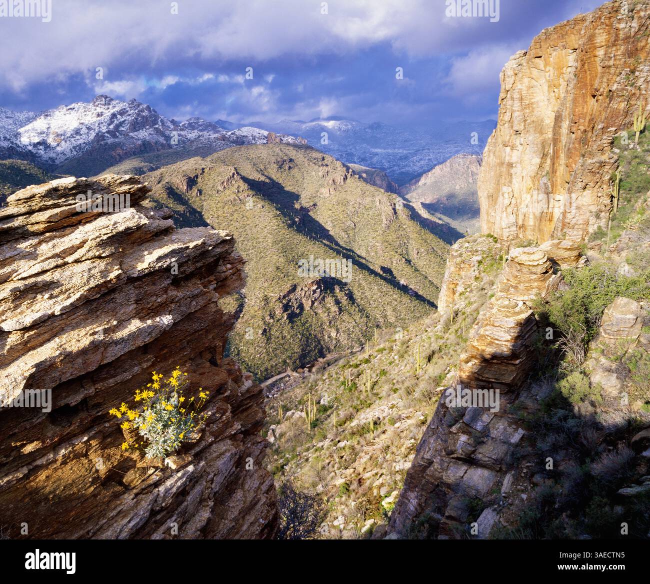 A view of Sabino Canyon high above the canyon floor with winter storm higher in the Santa Catalina Mountains, Tucson, Arizona Stock Photo