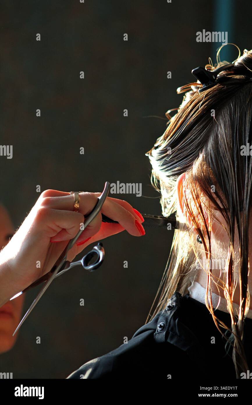 A hairdresser's hand with scissors while cutting a client's hair is a ...