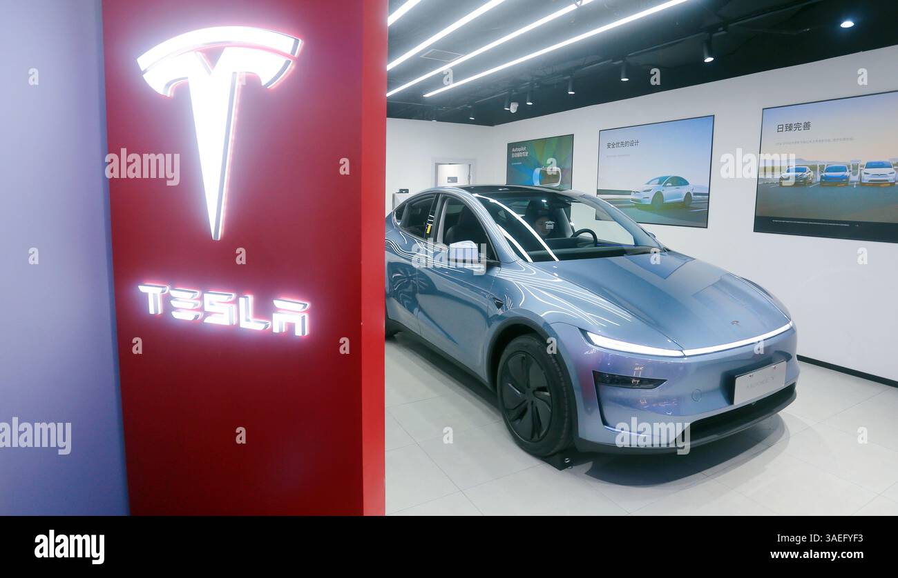 A Tesla electric car store MODEL Y is seen in China's first new energy ...