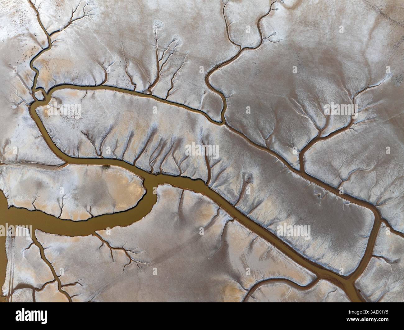 YANCHENG, CHINA - APRIL 5, 2025 - The 